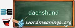 WordMeaning blackboard for dachshund